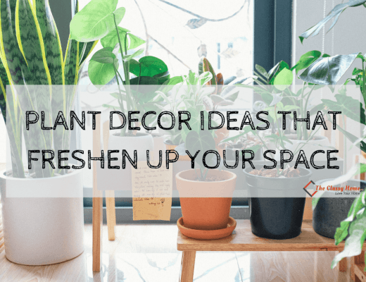 plant decor ideas